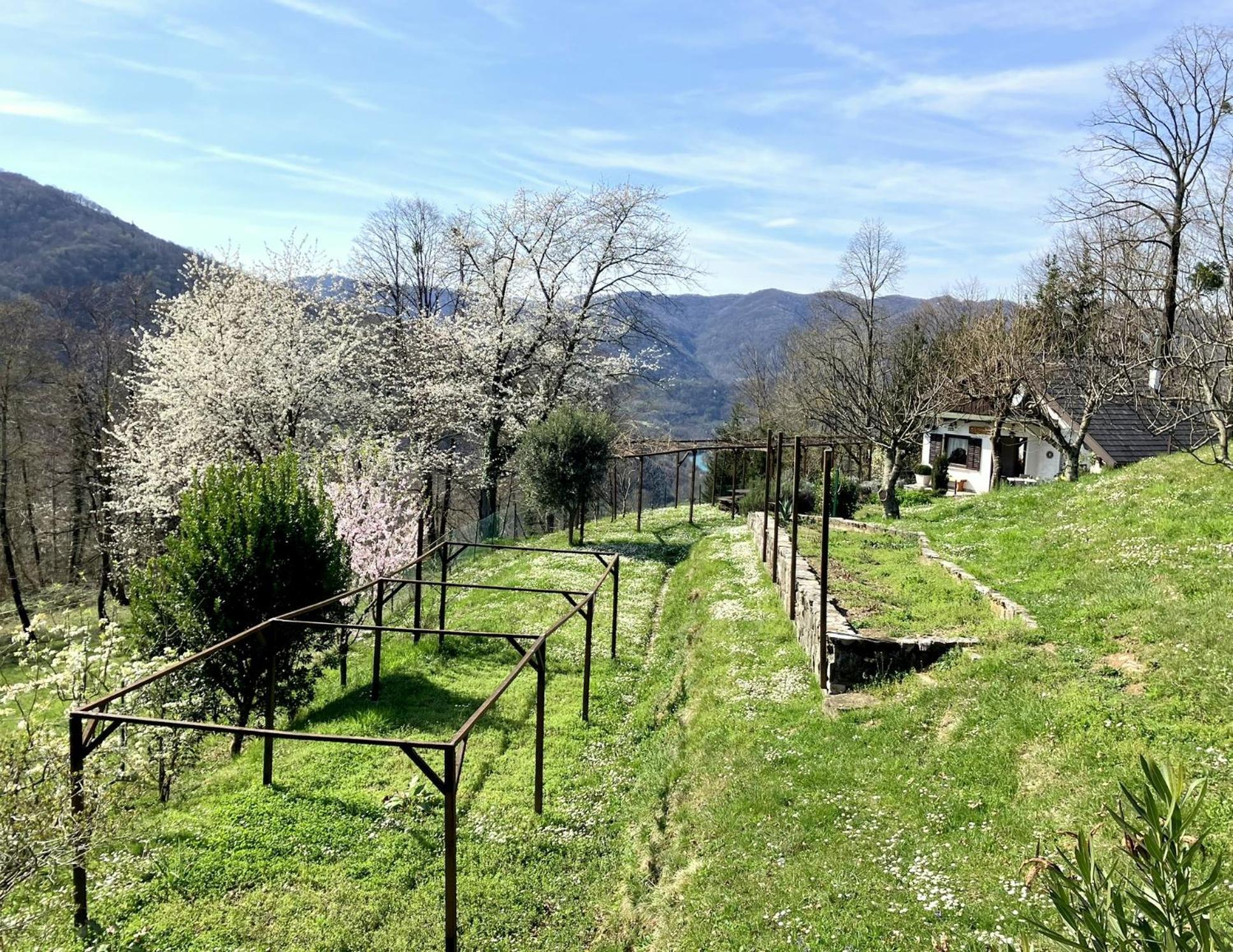 Holiday home Vilijev Raj, A With In The Countryside Avce